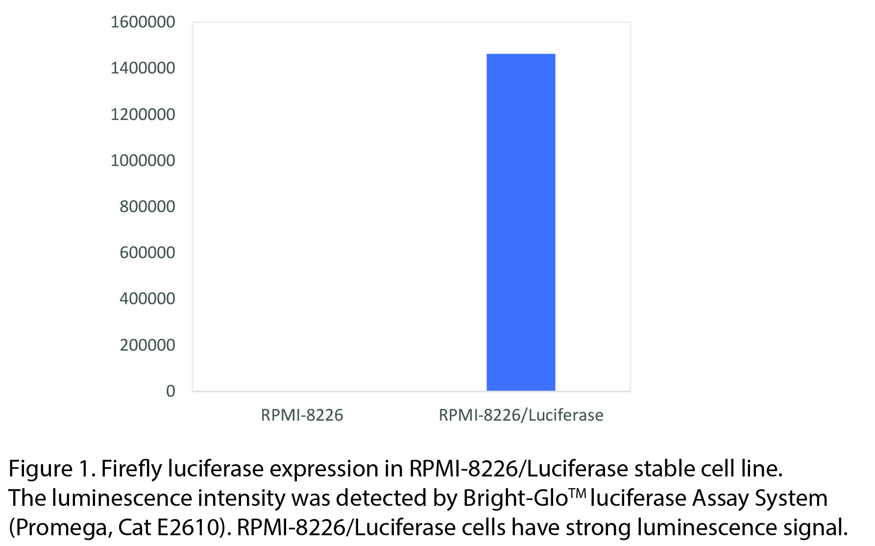 RPMI 8226 luciferase cells