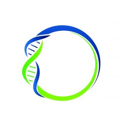 Human TMPRSS2 lentiviral expression vector (CMV, Hyg)