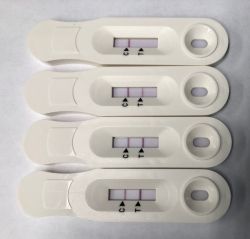 Lenti-HT lentivirus titration strip